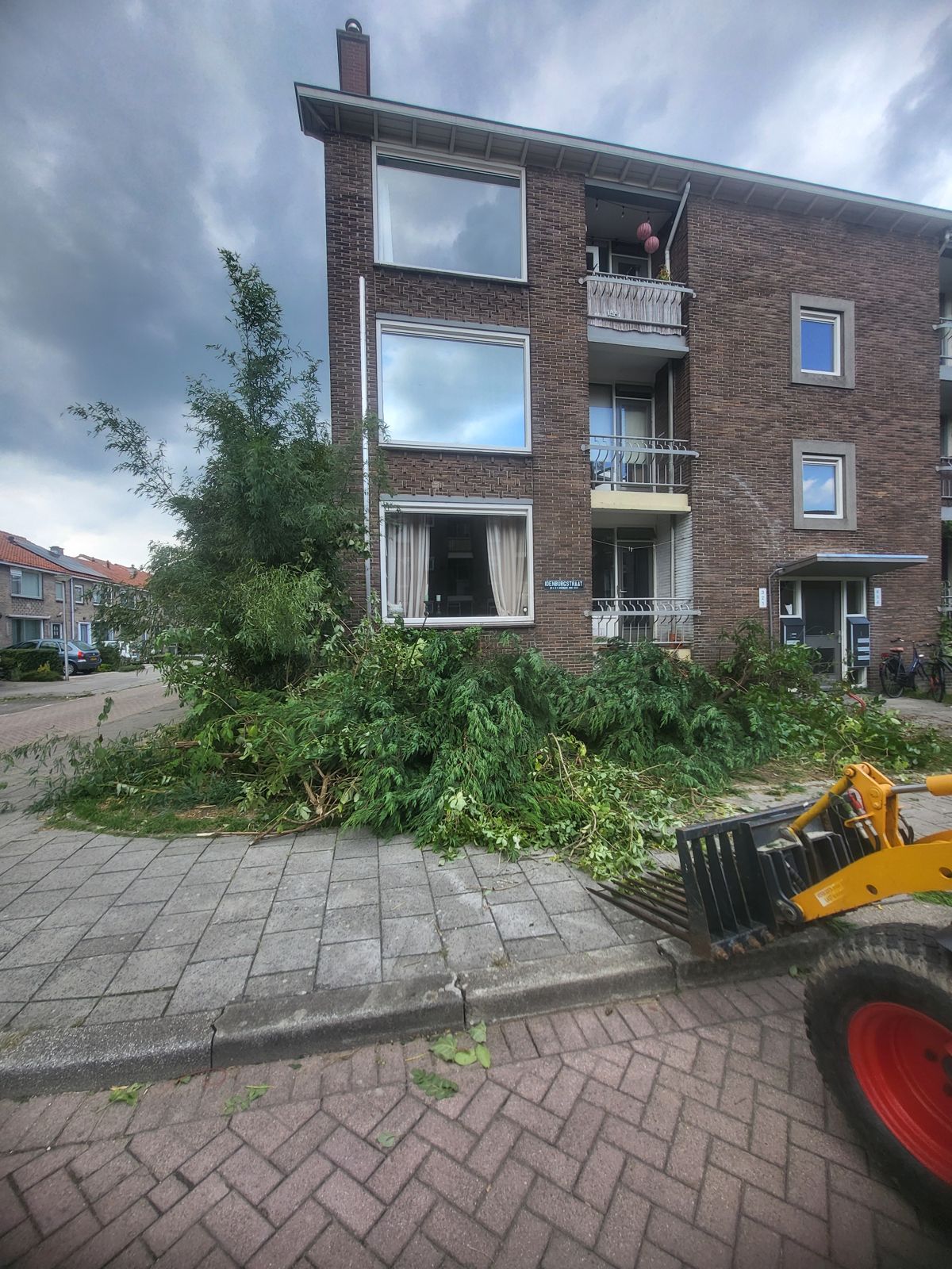 Knikmops ruimt snoeiafval op voor een flatgebouw