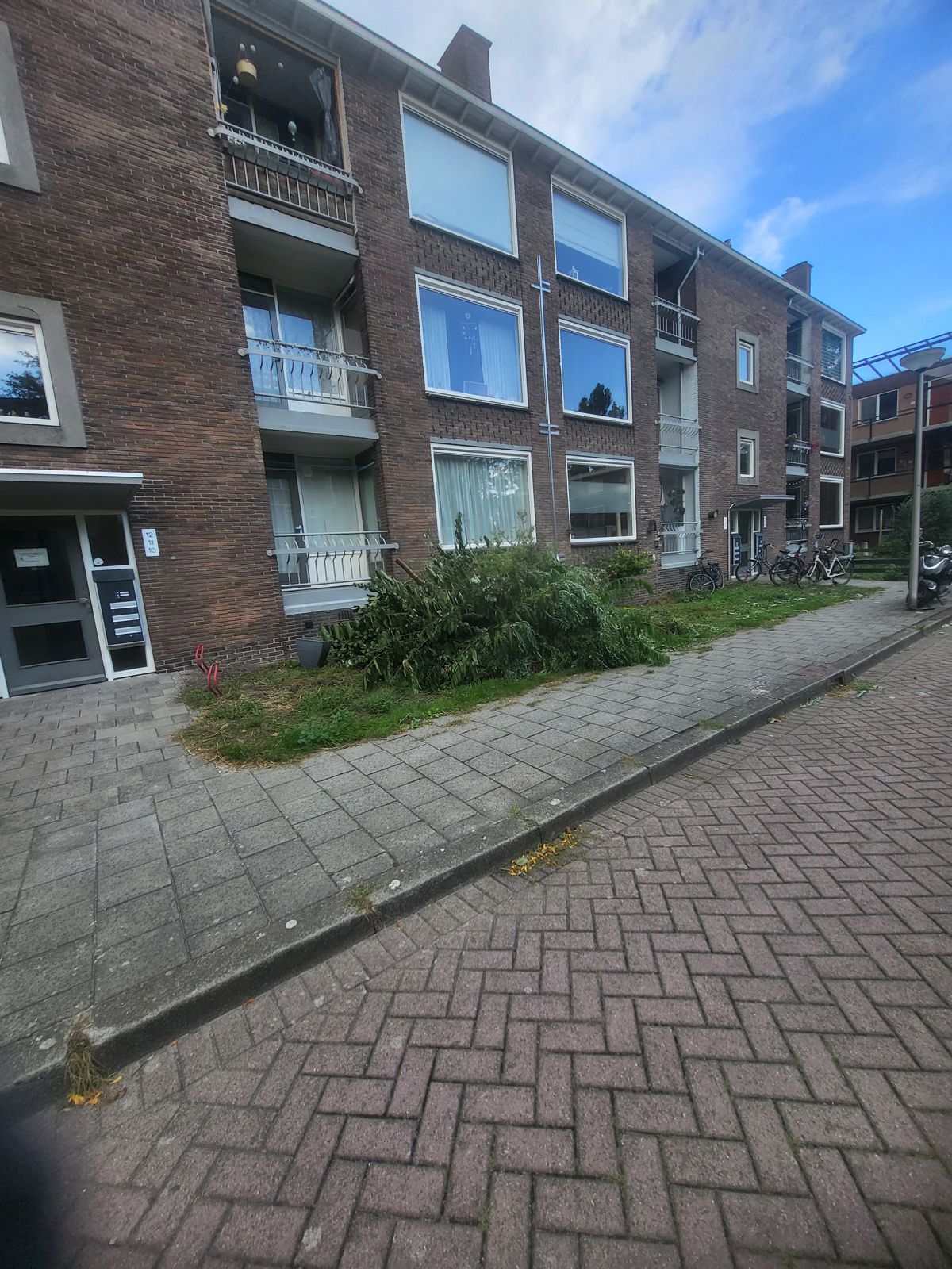 Grote hoop snoeiafval voor een flatgebouw
