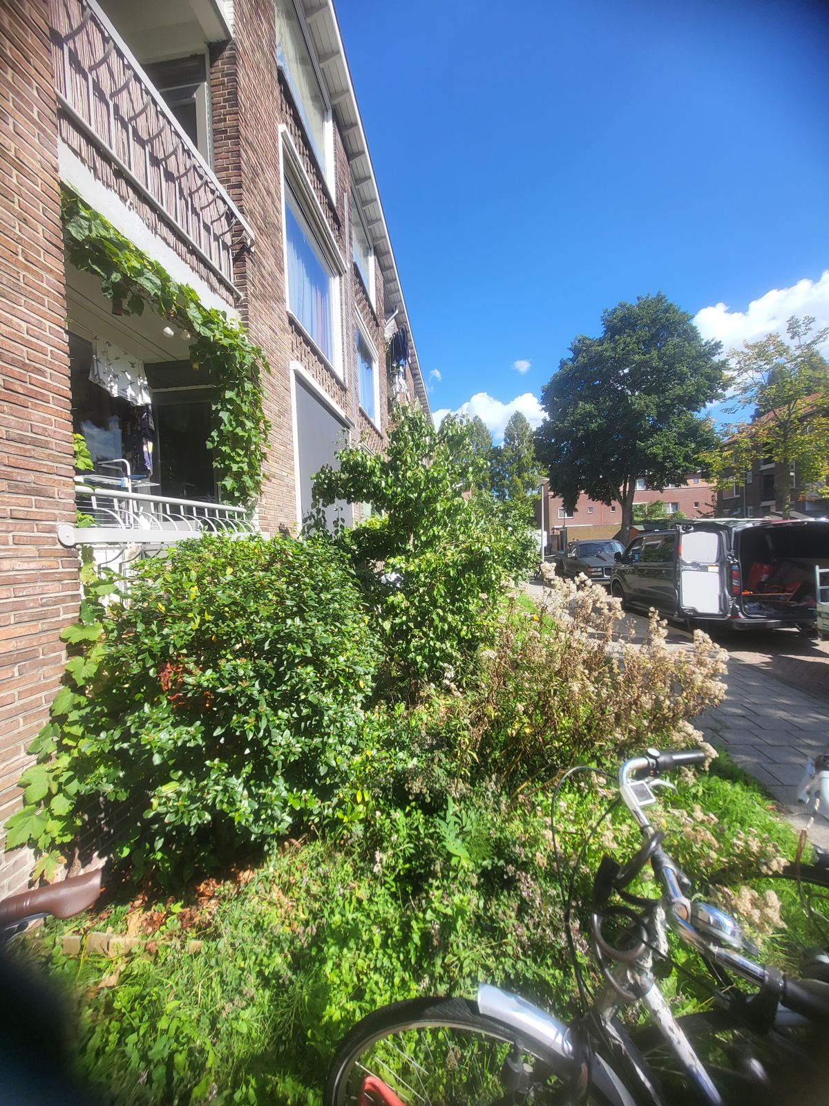 Verwilderde voortuin bij een appartementencomplex voor de ontruiming