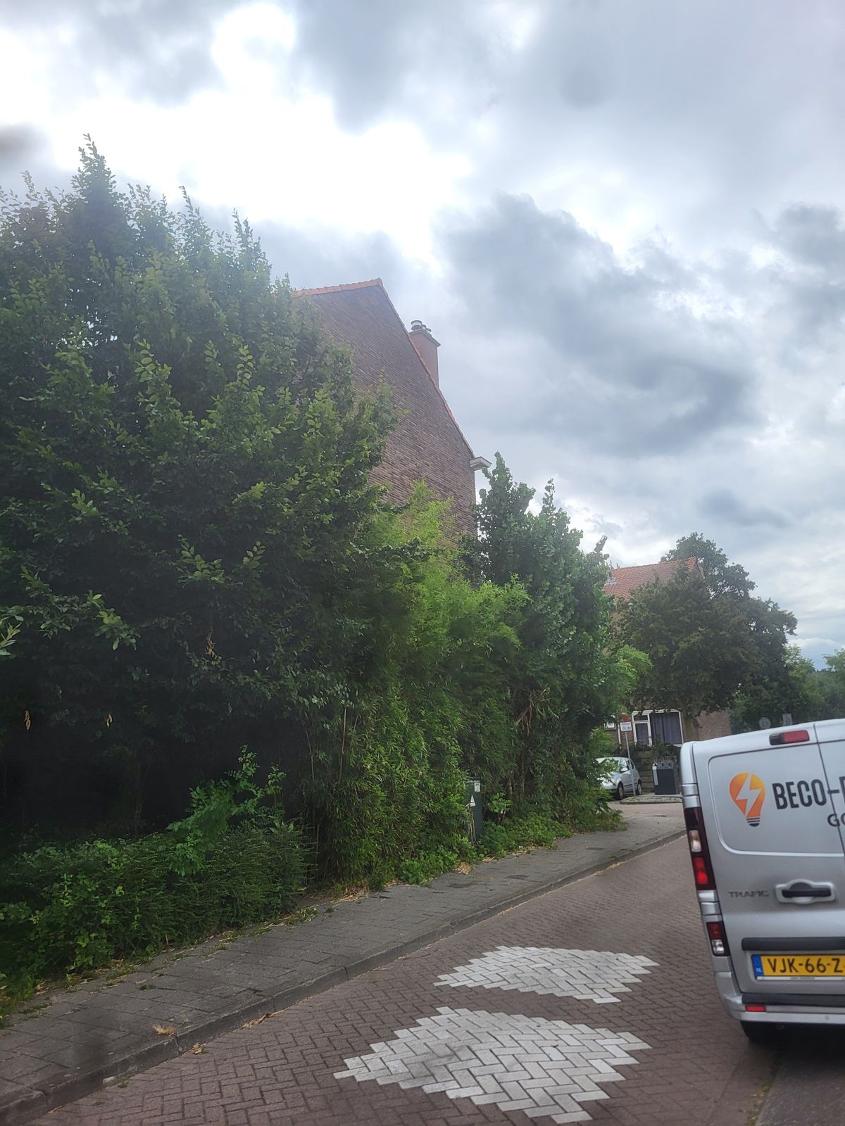 Verwilderde groenstrook langs de stoep in een woonwijk