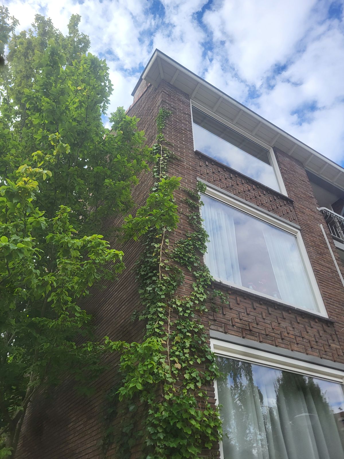 Klimop tegen de gevel van een appartementencomplex