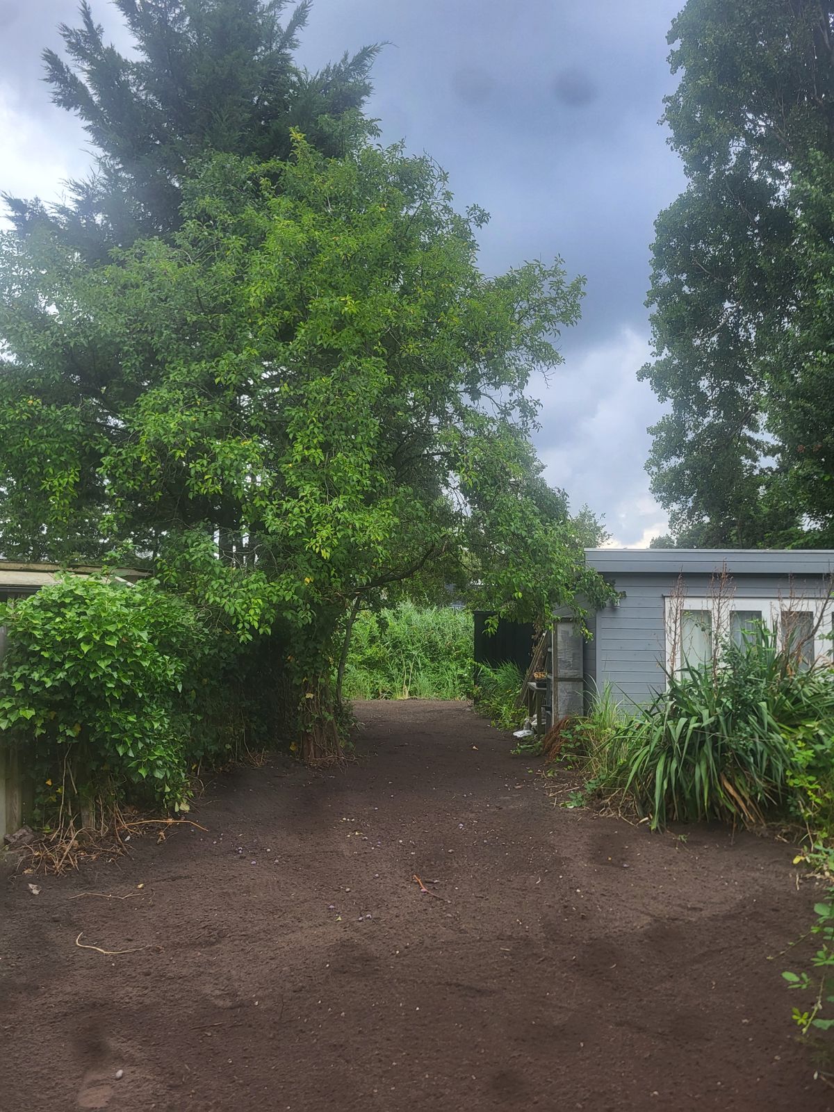 Geëgaliseerde achtertuin met zwarte aarde naast een tuinhuis